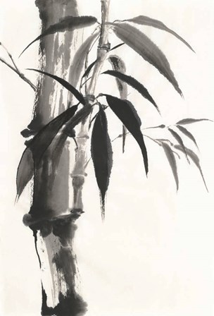 Sumi Bamboo by Chris Paschke art print