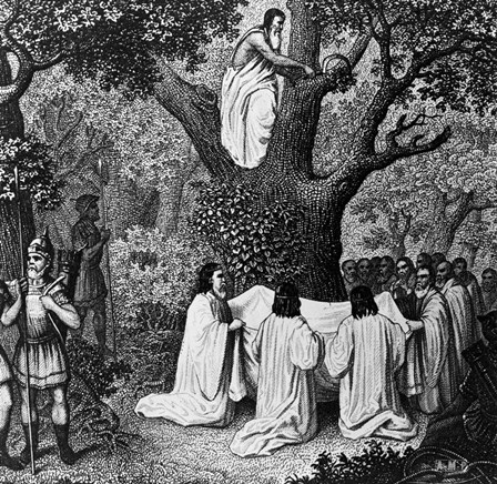 Illustration Of Druid Priests by Vintage PI art print