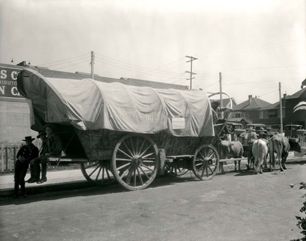 1920s Ox Drawn Conestoga Covered Wagon by Vintage PI art print