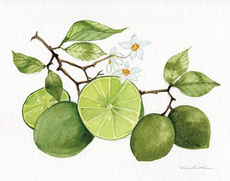 Citrus Garden VII by Kathleen Parr McKenna art print