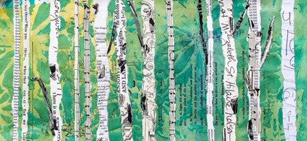 Birches Green by Elizabeth St. Hilaire art print