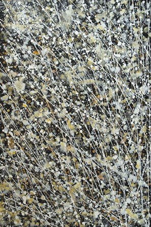 Abstract Floral - Charcoal Tones by Marc Todd art print