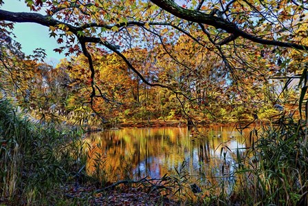 Clove Lakes Park in Autumn A by Franklin Kearney art print