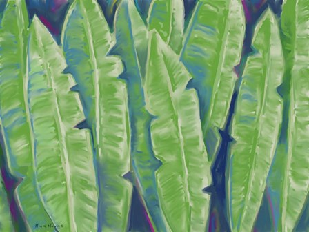 Bananas by Rick Novak art print