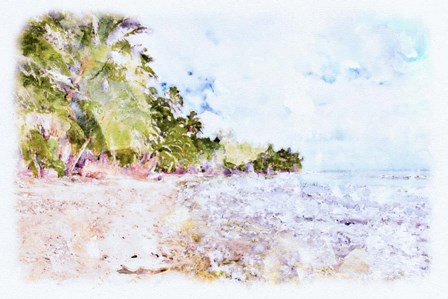 Tropical Beach E by Skip Nall art print