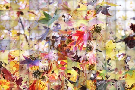 Autumn Leaves 3 by Irena Orlov art print