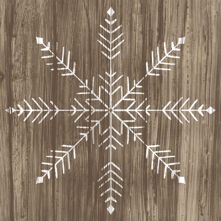 Barnwood Wonderland IV by June Erica Vess art print
