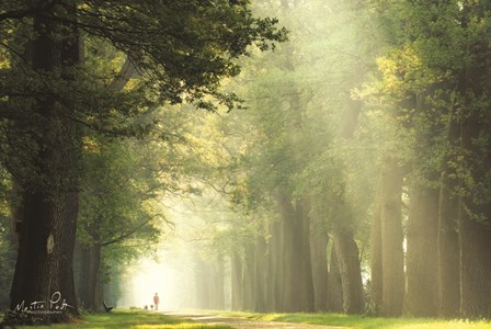 Take a Walk by Martin Podt art print