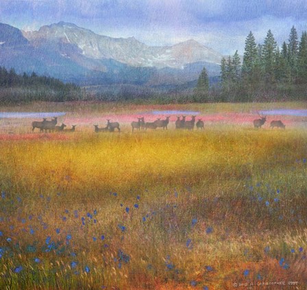 Flowered Meadow Elk by Chris Vest art print