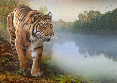 Tiger Along the River by Chris Vest art print