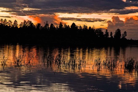 Fools Hollow State Park Sunset 2 by Tom Brossart art print